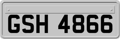 GSH4866
