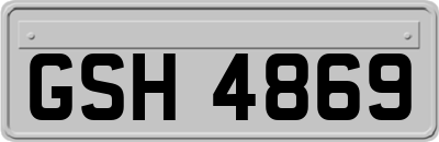 GSH4869