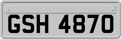 GSH4870