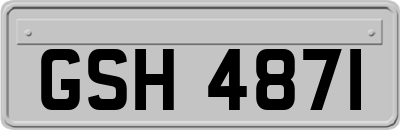 GSH4871