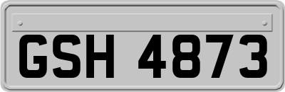 GSH4873