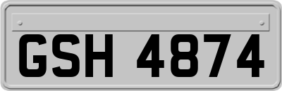GSH4874