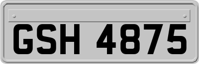 GSH4875