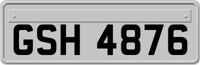 GSH4876