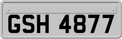 GSH4877