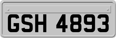 GSH4893