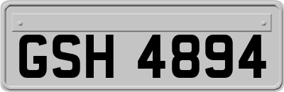 GSH4894