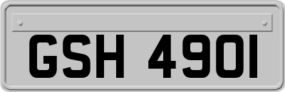 GSH4901