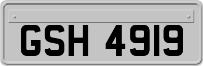 GSH4919