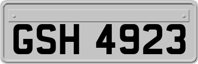 GSH4923