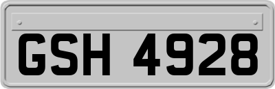 GSH4928