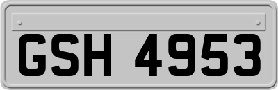 GSH4953