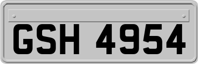 GSH4954