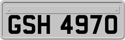 GSH4970