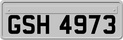 GSH4973