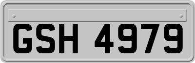 GSH4979
