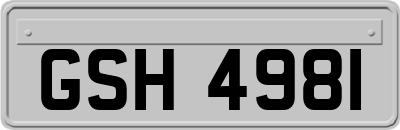 GSH4981