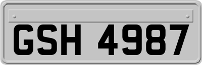 GSH4987