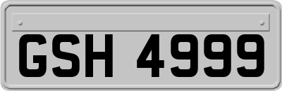 GSH4999