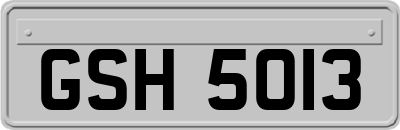 GSH5013
