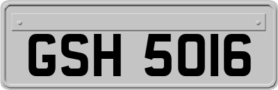 GSH5016