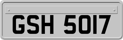 GSH5017