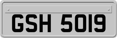 GSH5019