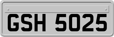 GSH5025