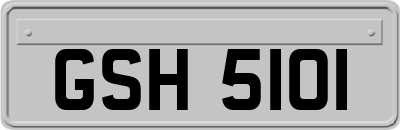 GSH5101