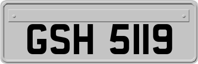 GSH5119