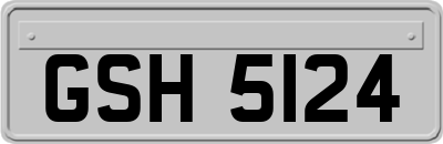 GSH5124