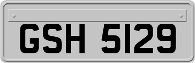 GSH5129