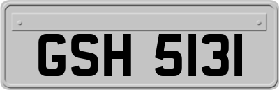 GSH5131
