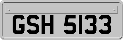 GSH5133