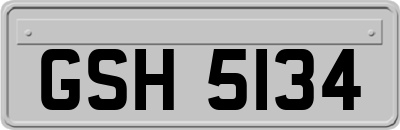 GSH5134