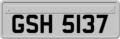 GSH5137