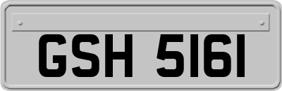 GSH5161