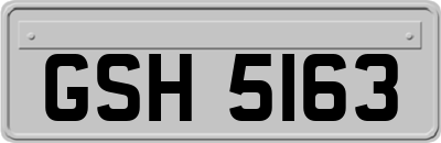 GSH5163