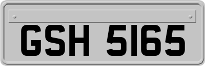 GSH5165