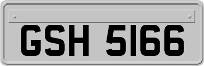 GSH5166