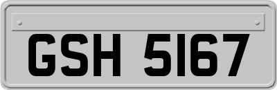 GSH5167