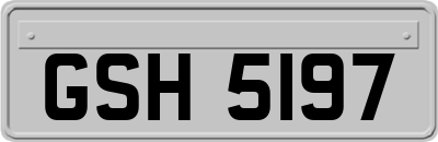 GSH5197
