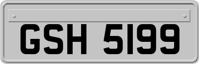 GSH5199