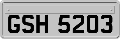 GSH5203