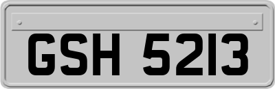 GSH5213