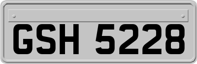 GSH5228