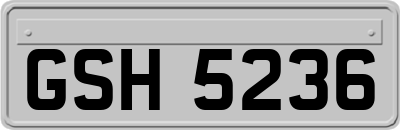GSH5236