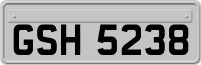 GSH5238