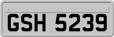 GSH5239