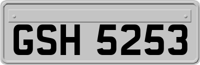 GSH5253